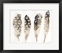 Framed Feathers 2