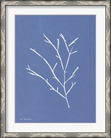Framed Blue Botanical III