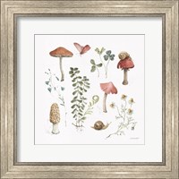 Framed Forest Treasures 02