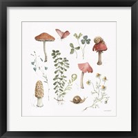 Framed 'Forest Treasures 02' border=