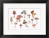 Framed Mushroom Medley 01