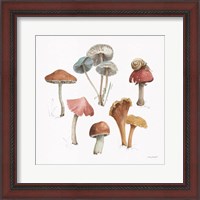 Framed 'Mushroom Medley 02' border=