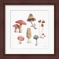 Framed 'Mushroom Medley 03' border=