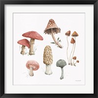 Framed 'Mushroom Medley 03' border=