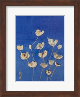 Framed Kims Tulips