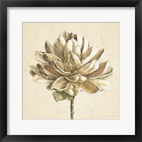 Framed Seed Pod I No Words Cream