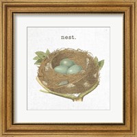 Framed Spring Nest III Nest