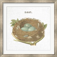 Framed Spring Nest III Nest
