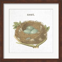 Framed Spring Nest III Nest