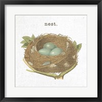 Spring Nest III Nest Framed Print