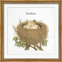 Framed Spring Nest II Home