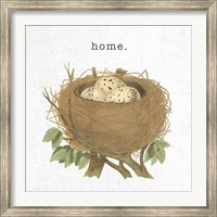 Framed Spring Nest II Home