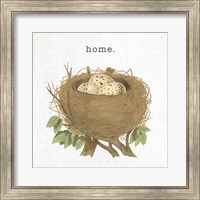 Framed 'Spring Nest II Home' border=