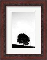 Framed Lone Tree Hill