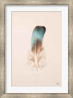 Framed Floating Feathers IV