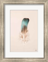 Framed Floating Feathers IV