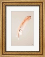 Framed Floating Feathers III