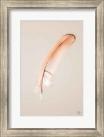 Framed Floating Feathers III