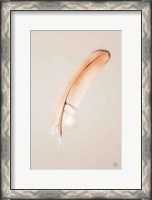 Framed Floating Feathers III