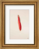 Framed Floating Feathers II