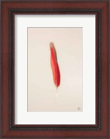 Framed Floating Feathers II
