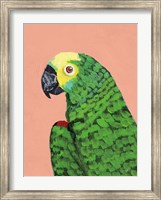 Framed Parrot Head