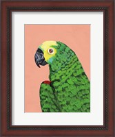 Framed Parrot Head