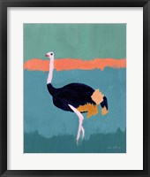 Framed Ostrich