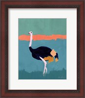 Framed Ostrich