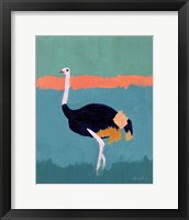 Framed Ostrich