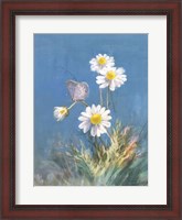 Framed White Daisies