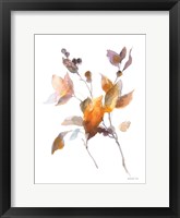 Harvest Cuttings II Framed Print