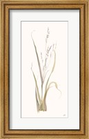 Framed Moor Grass