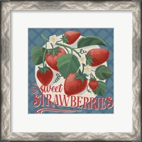 Framed 'Berry Breeze IV' border=