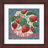 Framed Berry Breeze IV