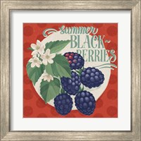 Framed 'Berry Breeze V' border=