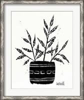 Framed Botanical Sketches IX