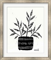 Framed Botanical Sketches IX