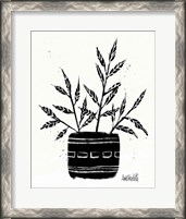 Framed Botanical Sketches IX