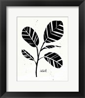 Framed Botanical Sketches IV