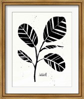 Framed Botanical Sketches IV