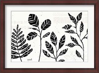 Framed Botanical Sketches I