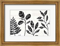 Framed Botanical Sketches I