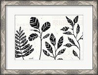 Framed Botanical Sketches I