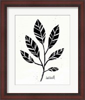 Framed Botanical Sketches III