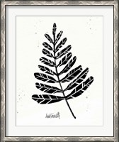 Framed Botanical Sketches II