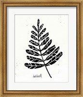 Framed Botanical Sketches II