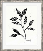 Framed Botanical Sketches V