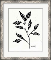 Framed Botanical Sketches V