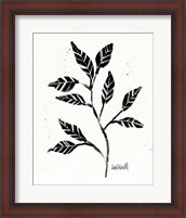 Framed Botanical Sketches V